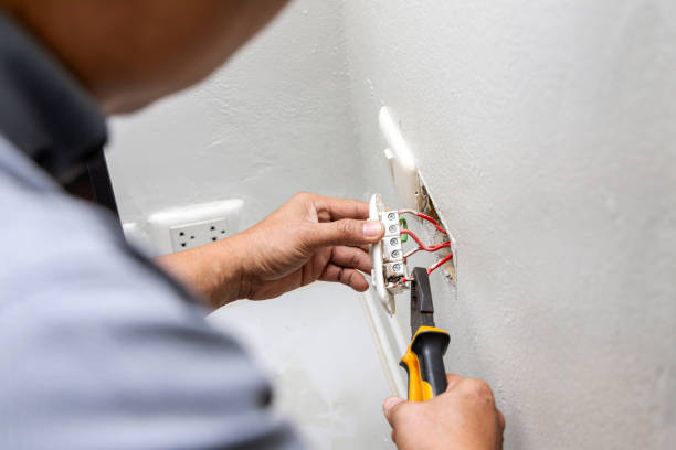 Best Electric Panel Repair  in Chlicothe, IL